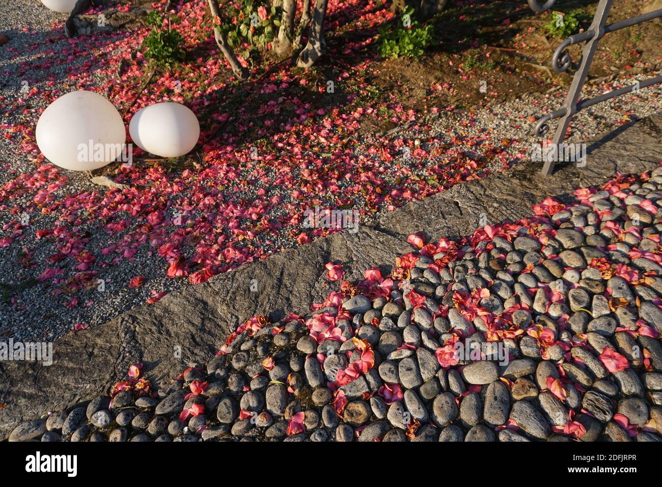 après une journée venteuse, la lampe d'extérieur est blanche et rose pétales parsemés autour du parc Banque D'Images