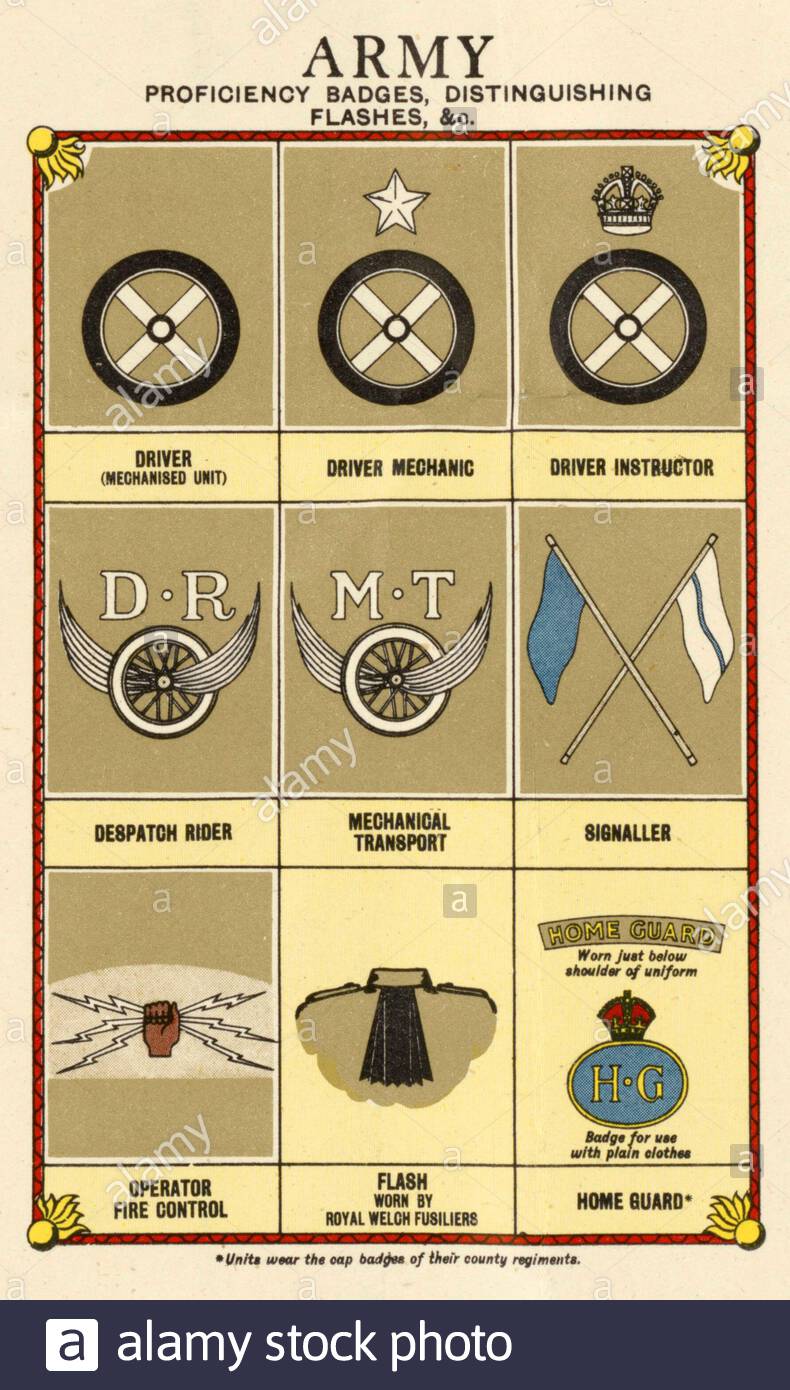 Grades et Insignia des Forces armées britanniques - Armée, d'après l'affiche d'information et de propagande de la Seconde Guerre mondiale Banque D'Images