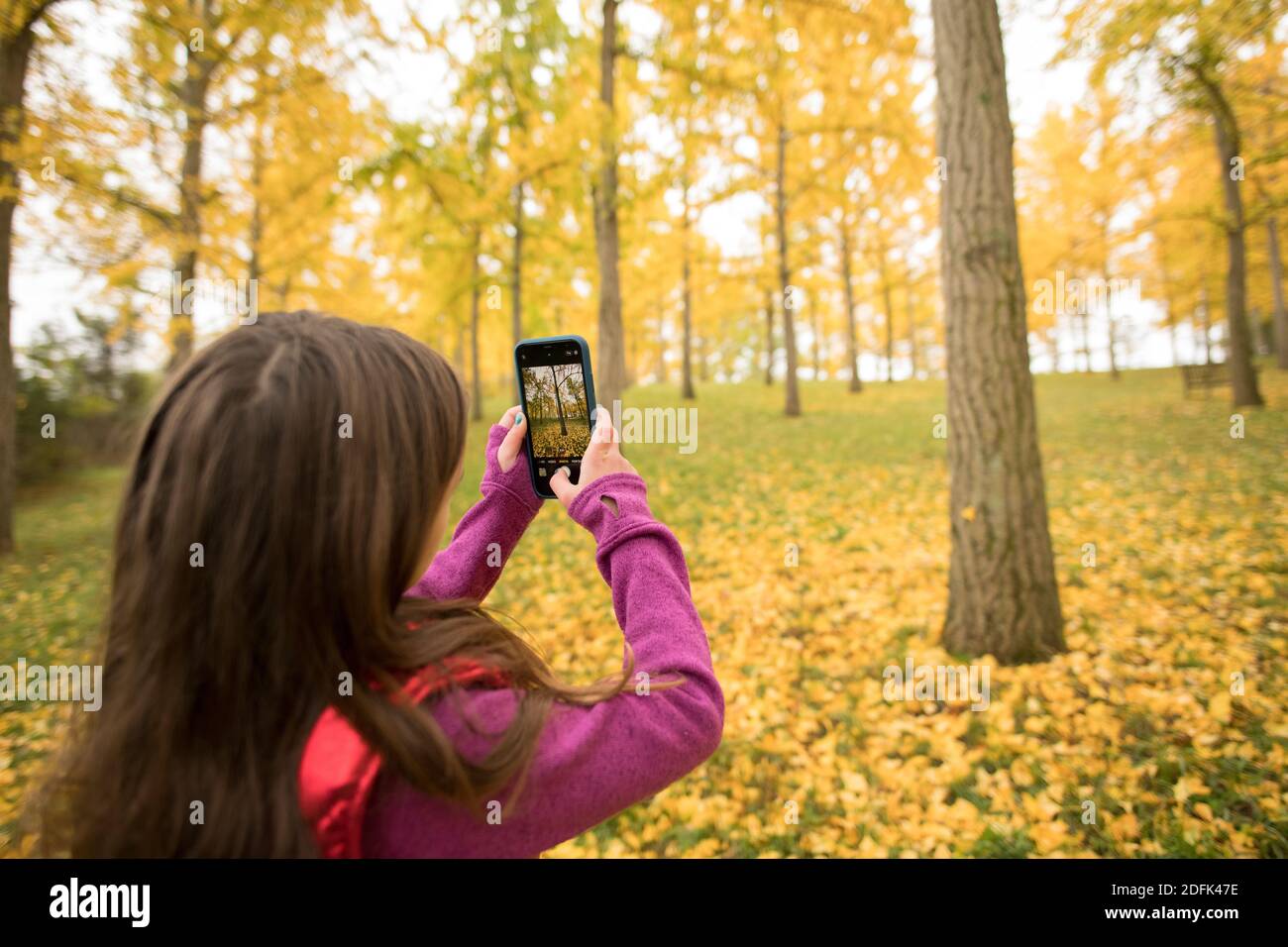 Une jeune fille prend une photo avec un smartphone dans la forêt ginko de Blandy National Arboretum, Université de Virginie. Banque D'Images