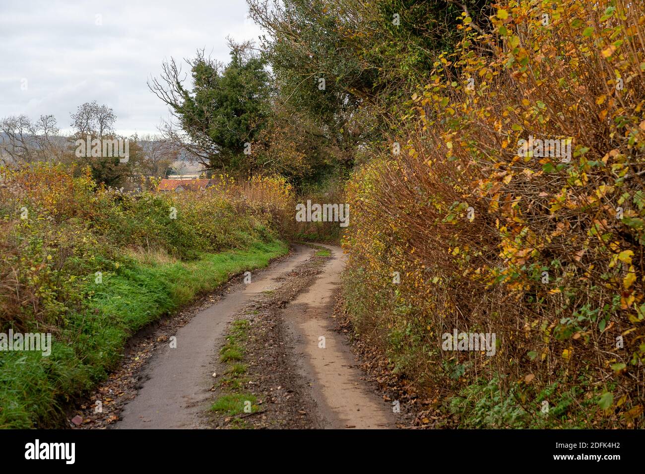 Aylesbury Vale, Buckinghamshire, Royaume-Uni. L'une des jolies voies à voie unique près de Jones Hill Wood, où le train à grande vitesse HS2 de Londres à Birmingham traversera la campagne et les forêts anciennes. Crédit : Maureen McLean/Alay Banque D'Images