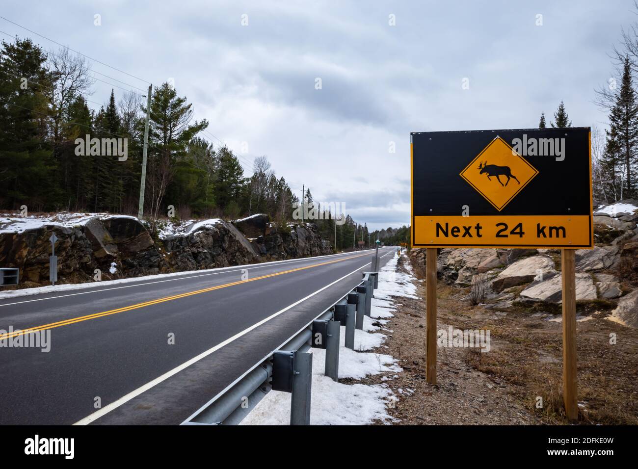 Un grand panneau de passage à l'orignal avec une icône de A. moose met en garde contre le danger de passage des animaux sauvages l'autoroute pour les 24 prochains kilomètres de route ah Banque D'Images