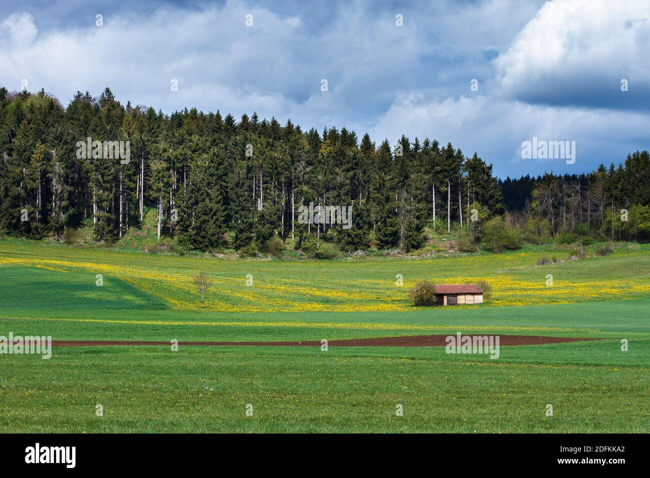 Landschaft im Biosphärengebiet Schwäbische Alb bei Zainingen Banque D'Images