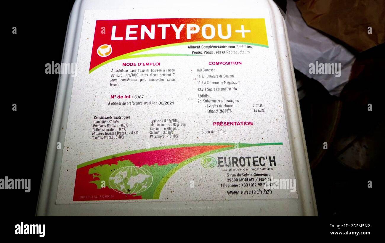 Photo distribuée par l'association des droits des animaux L214 le 29 octobre 2020 à partir d'une nouvelle vidéo choquante produite dans une ferme intensive de 200,000 poules pondeuses situées dans l'Oise. Les images ont été prises entre fin septembre et mi-octobre au cœur de cette reproduction intensive de 200,000 poules pondeuses au domaine du Mesnil Saint-Martin à Chambly. La ferme produit et commercialise des œufs bruns et blancs, destinés aux petits, moyens et grands magasins, aux épiceries, aux boulangeries, aux aviculteurs, aux restaurateurs et aux particuliers. L'enquête révèle les conditions de vie des poules, 'entassées dans des cages Banque D'Images