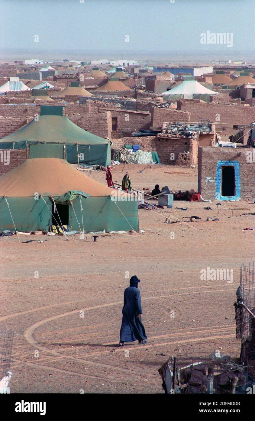 La vie quotidienne des Sahraouis dans le camp de réfugiés de  Smara.Saharawis qui ne peut plus attendre l'organisation d'un référendum.  Le conflit au Sahara occidental a pris un nouveau tournant avec le