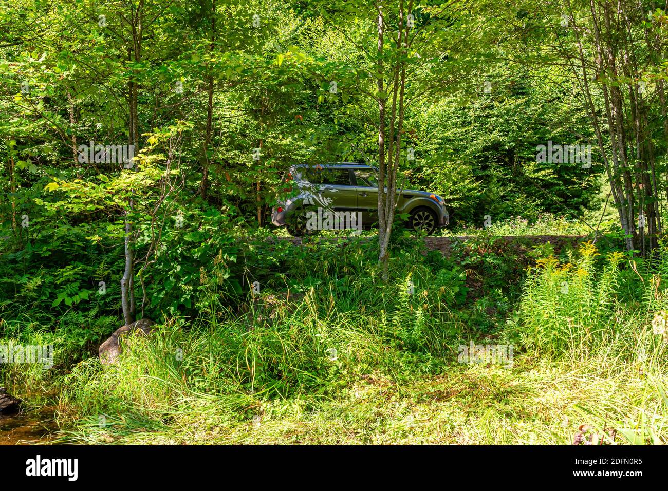 Hawk Lake Log Chute Algonquin Highlands Haliburton County Ontario Canada en été Banque D'Images