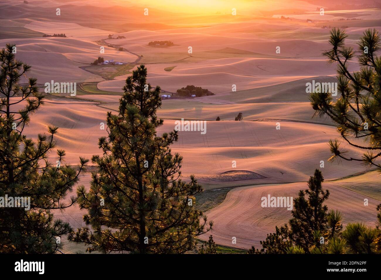Vue sur les champs de blé de Palouse depuis le sommet de Kamiak Butte, près de Pullman, Washington, Etats-Unis Banque D'Images