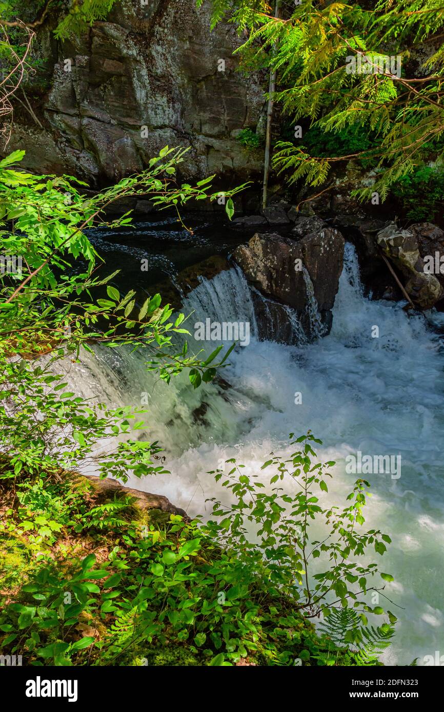 Hawk Lake Log Chute Algonquin Highlands Haliburton County Ontario Canada en été Banque D'Images
