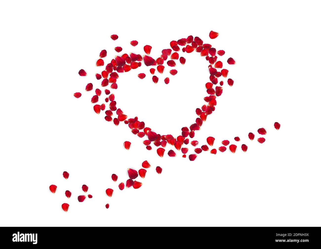 Forme de coeur avec pétales de rose. Illustration vectorielle. EPS10 Illustration de Vecteur