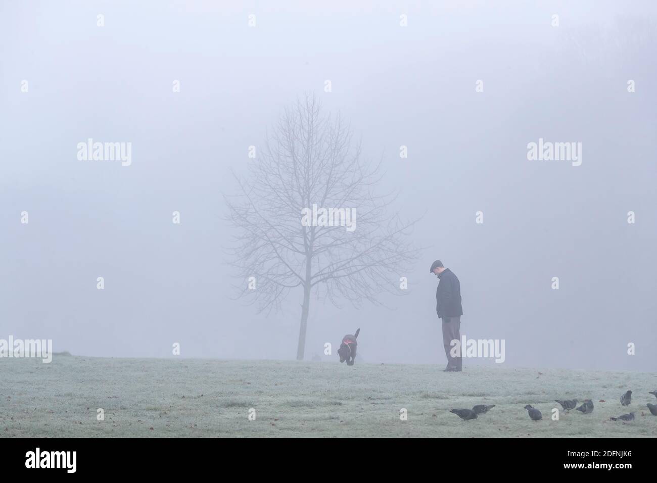 Northampton, Royaume-Uni 6 décembre 2020. Le brouillard et le gel dur dans le parc Abington tôt ce matin prévoient durer la plus grande partie de la journée. Crédit : K J Smith./Alamy Live News Banque D'Images