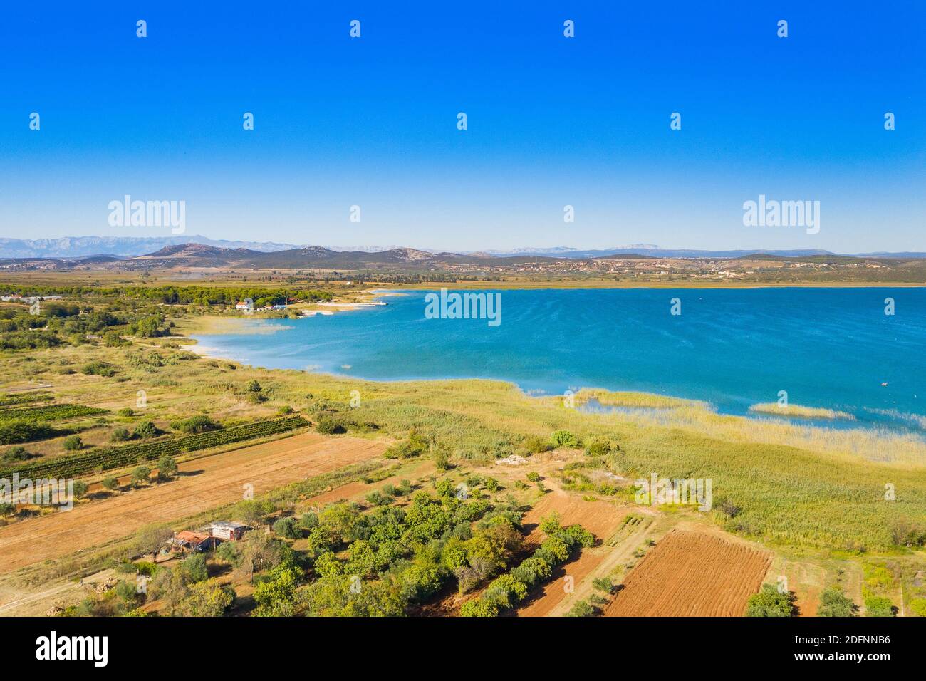 Parc naturel ornithologique, rive du lac Vrana (Vransko jezero) en Dalmatie, Croatie, vue aérienne de drone Banque D'Images