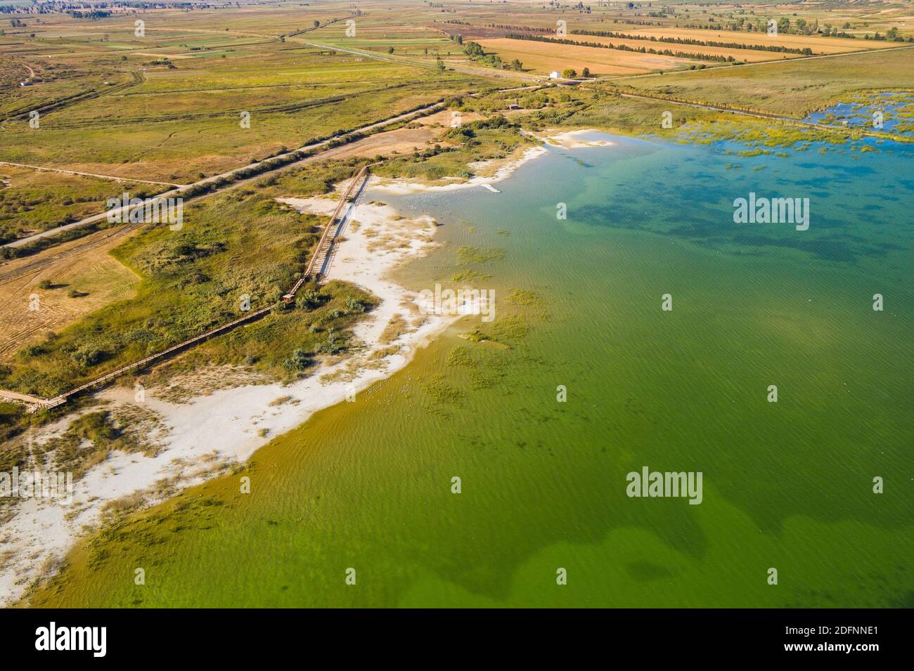 Parc naturel ornithologique, rive du lac Vrana (Vransko jezero) en Dalmatie, Croatie, vue aérienne de drone Banque D'Images