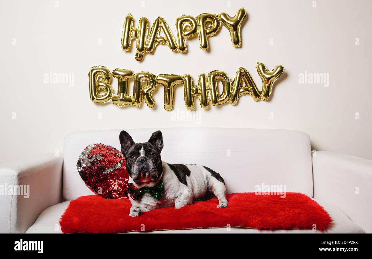 Carte D Anniversaire Francaise Banque D Image Et Photos Alamy Carte D Anniversaire Francaise Banque D Image Et Photos Alamy
