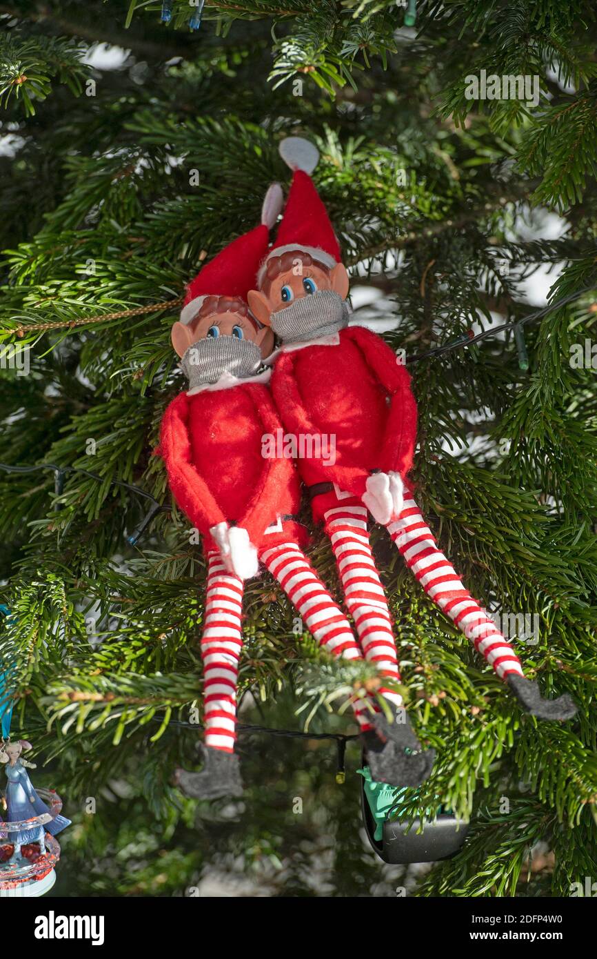 Décorations d'arbre de Corps d'elfe,décorations de Guirlande de Sapin de  Noël coincées Bras d'elfe volé Jambe en Peluche d'elfe de Noël, décoration  d'arbre de Noël, Jambes en Peluche à Poser pour orn 