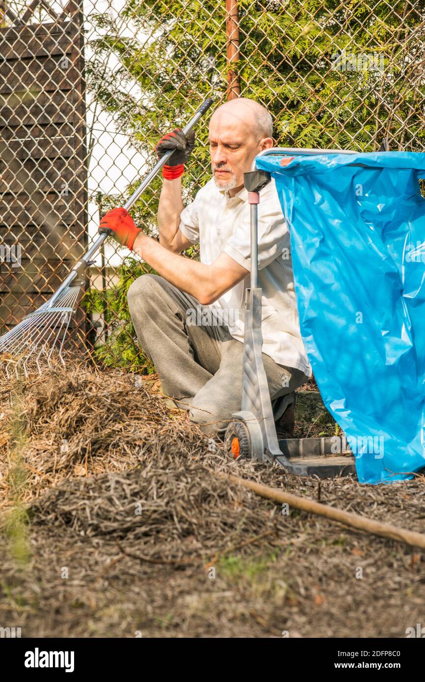 Homme mature avec une petite barbe pendant le nettoyage de printemps dans le jardin Banque D'Images