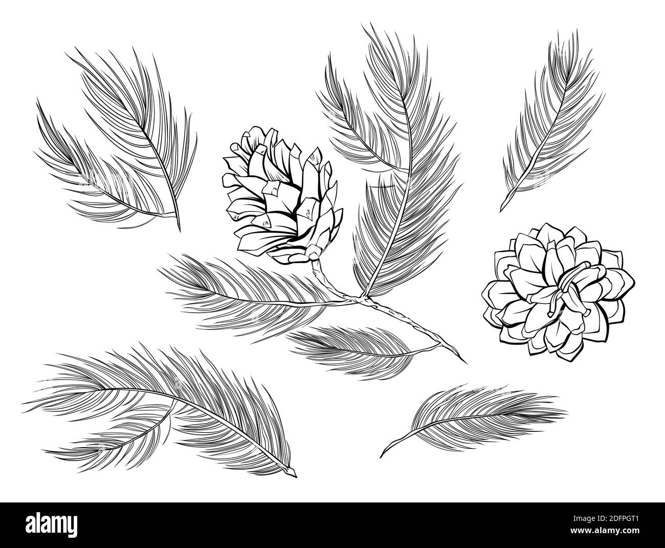 Cônes de pin, branches de sapin avec pommes de pin, ensemble d'éléments décoratifs de sapin vectoriel. Cônes de sapin, branches d'épicéa de pin ou de cèdre ensemble d'art isolé noir et blanc pour Noël décoration design Illustration de Vecteur