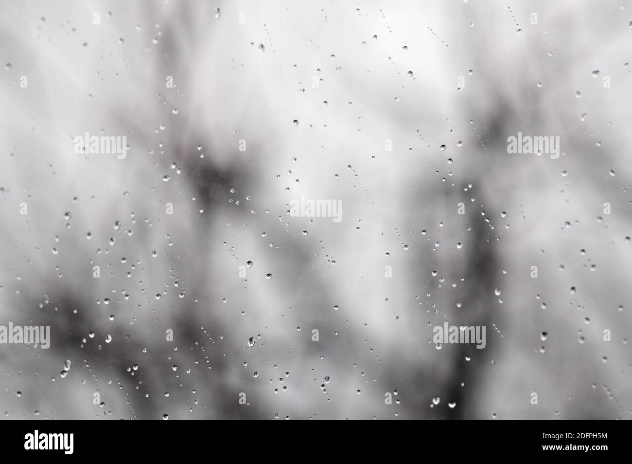 Gouttes d'eau de pluie s'écoulant sur le verre de la fenêtre illuminée par la lumière qui traverse les arbres. Arrière-plan flou, couleur grise Banque D'Images