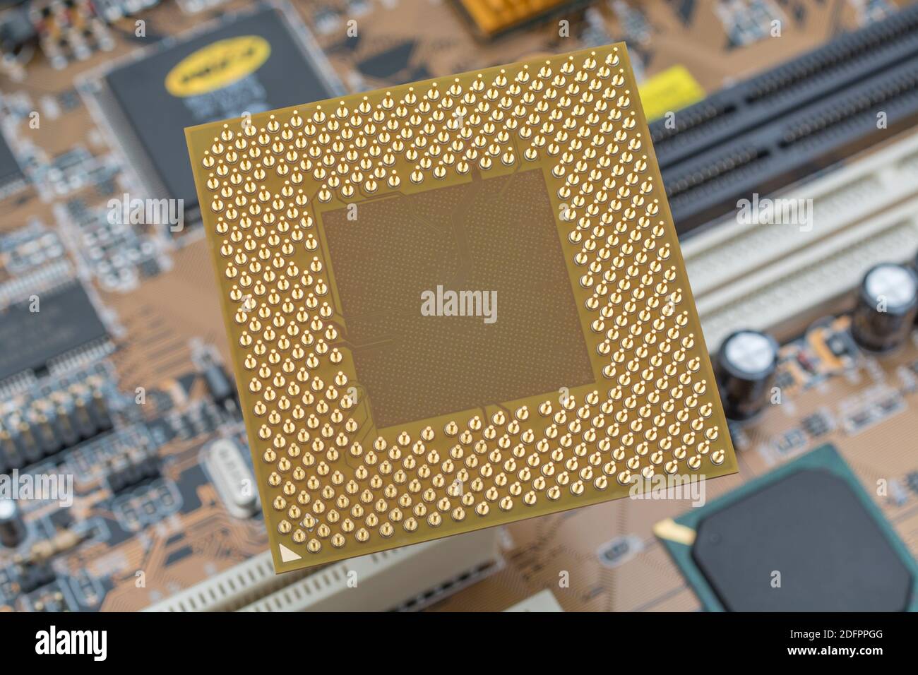 Brochages dorés sur le dessous d'un processeur AMD de bureau avec carte mère. Il s'agit d'un ancien Sempron SDA2200DUT3D qui était une version OEM de la puce AMD. Banque D'Images