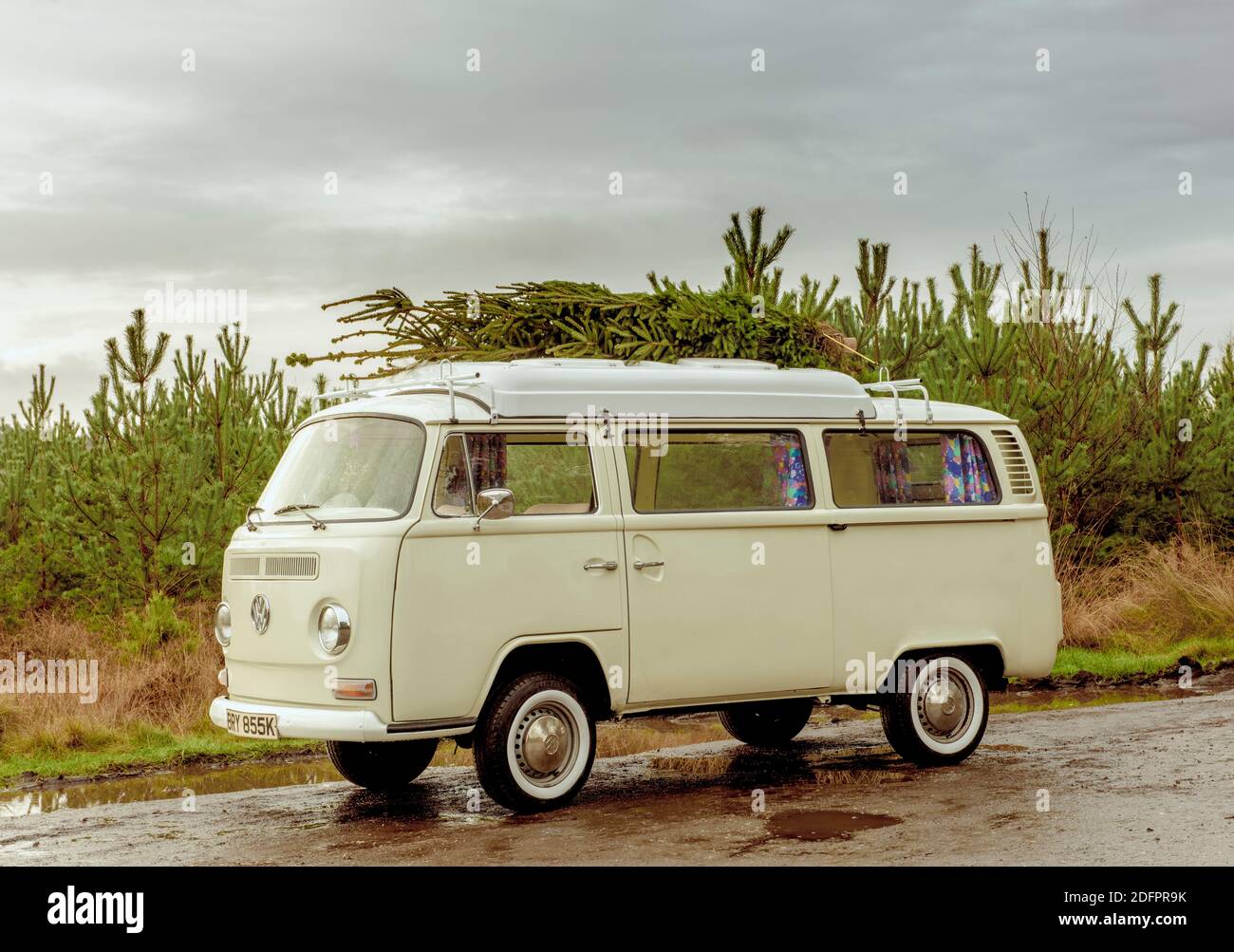 1972 VW Bay Window Campervan garé avec un arbre de Noël sur le toit. Banque D'Images