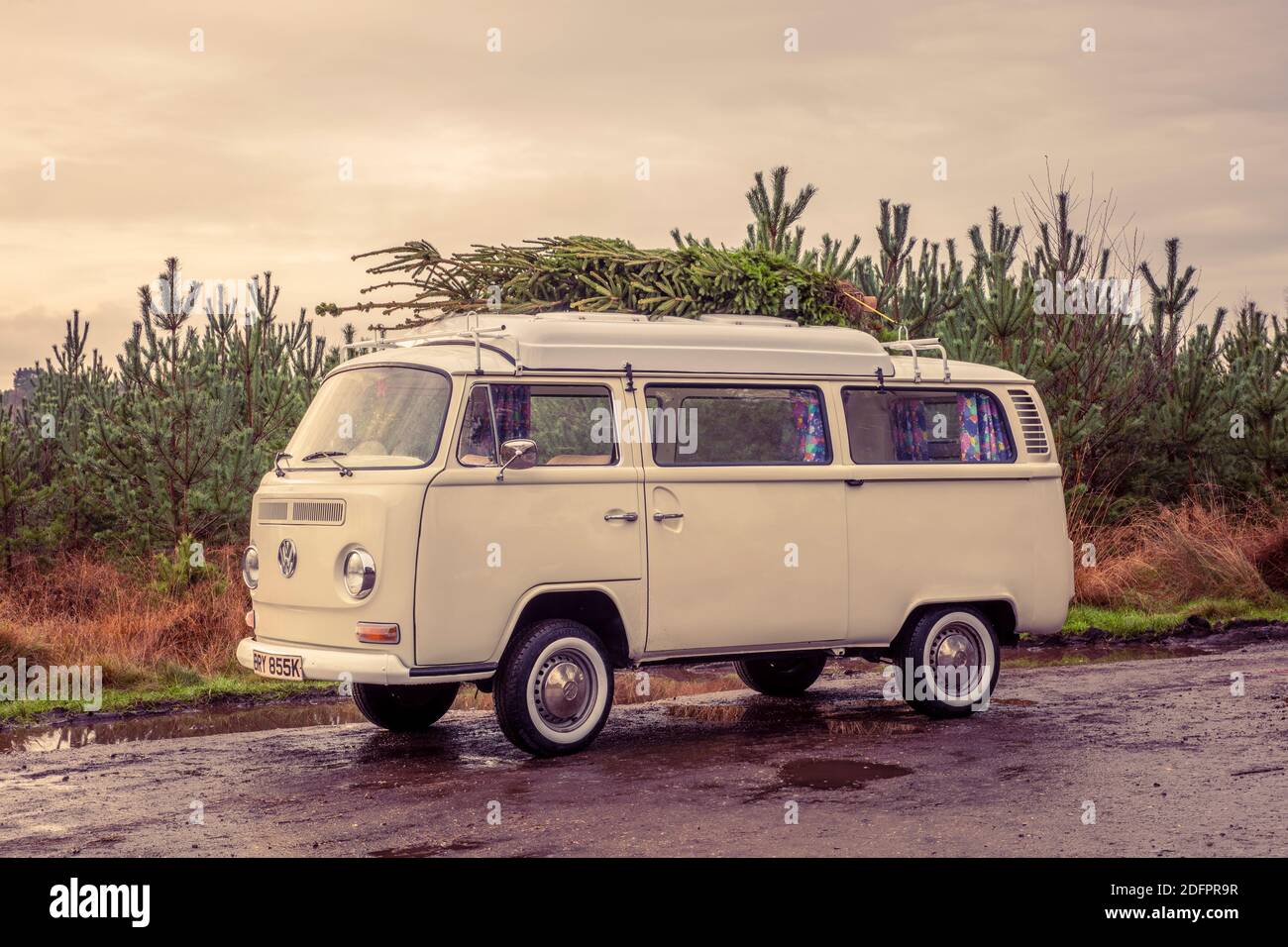 Camping-car vintage avec arbre de Noël fraîchement coupé sur le toit. Banque D'Images