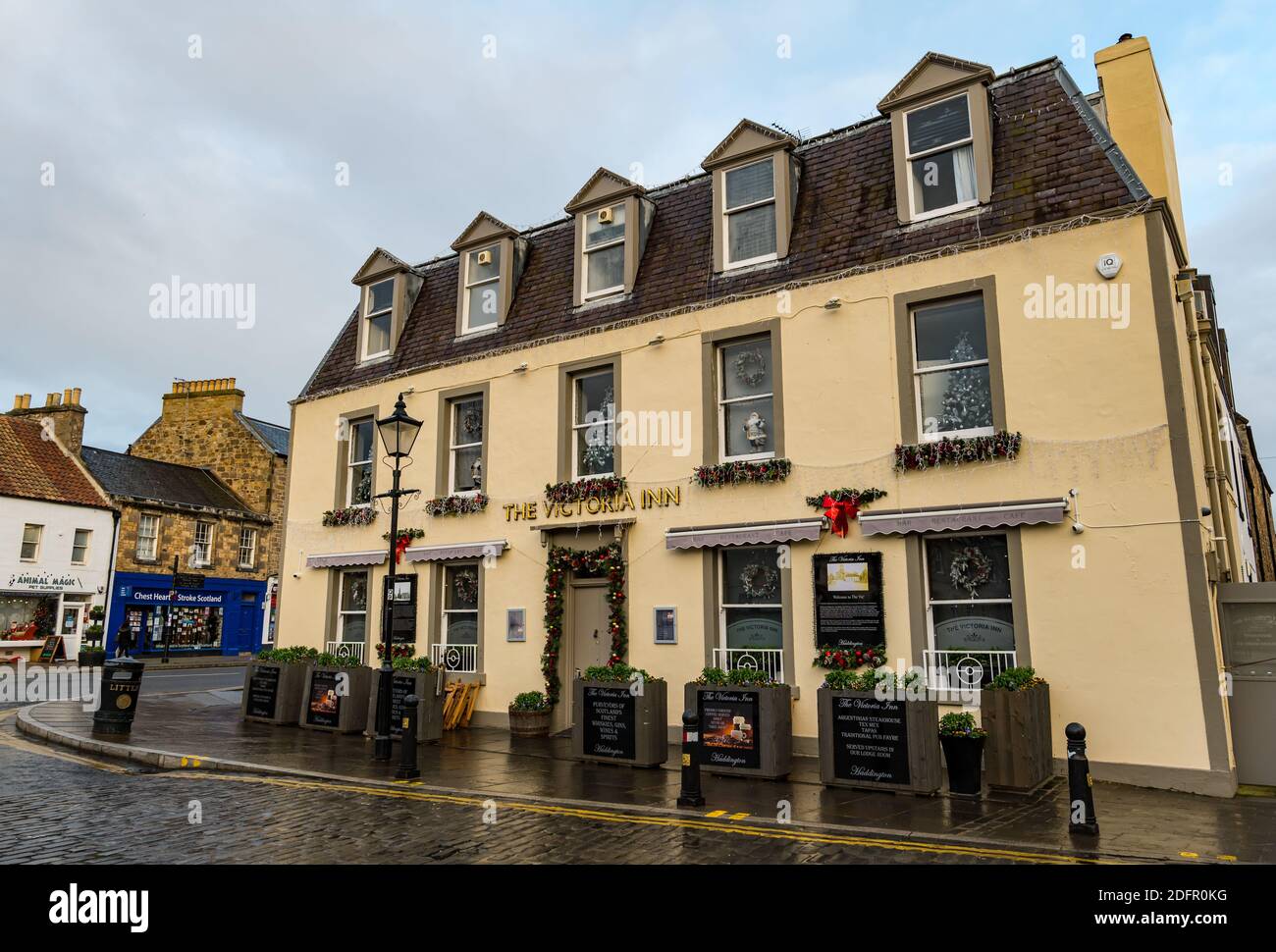 Le Victoria Inn pub et restaurant sur court Street avec des décorations de Noël festives, Haddington, East Lothian, Écosse, Royaume-Uni Banque D'Images