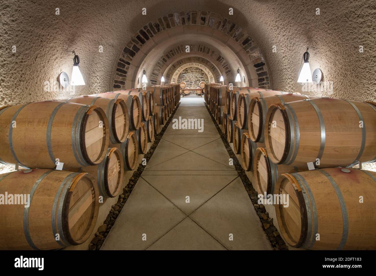 Le vin est stocké dans des barils de bois jusqu'à l'âge et ferment dans une zone de stockage souterraine à RDV Vineyards. Banque D'Images