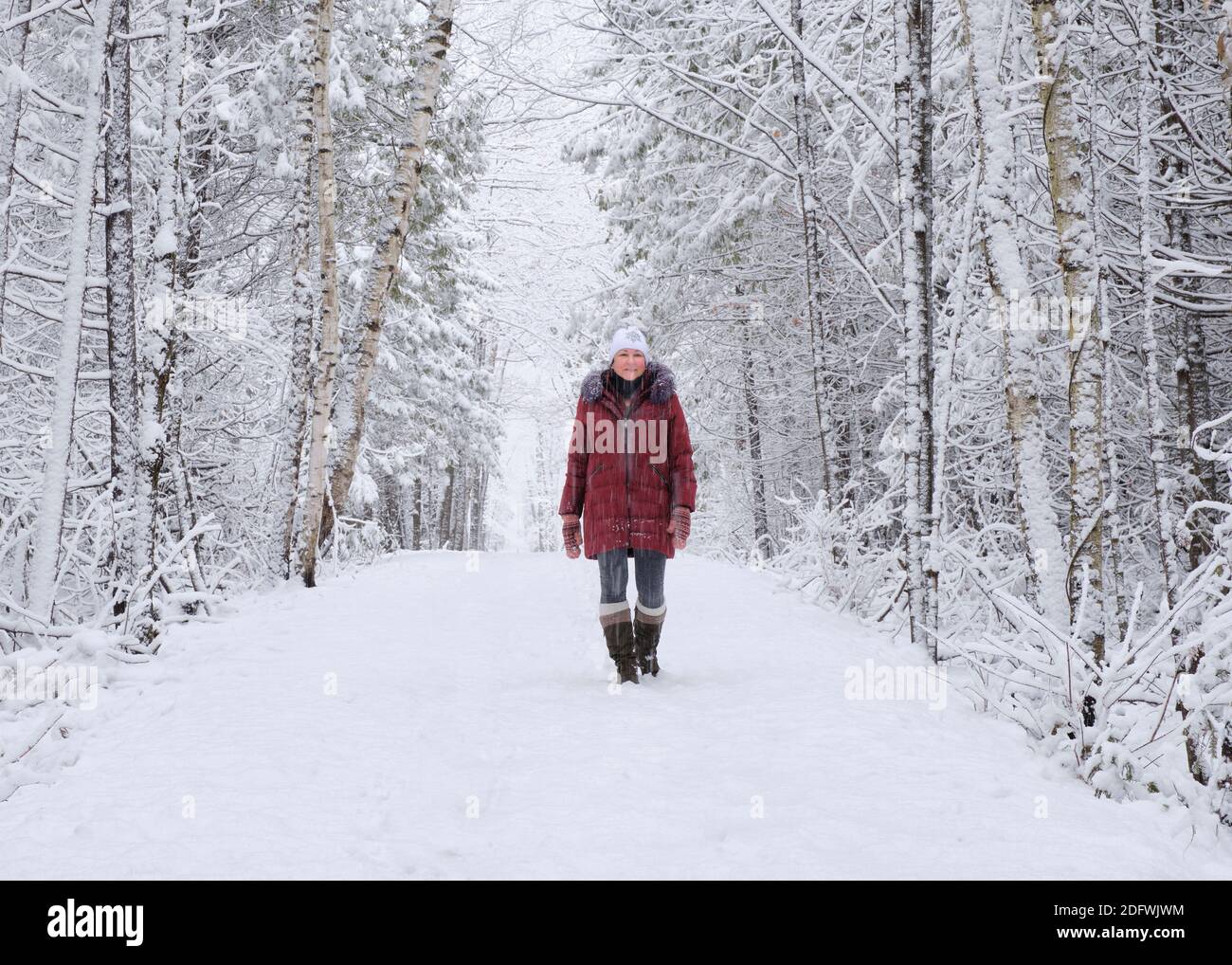 Une femme mûre profite d'une promenade sur un sentier de randonnée à travers une forêt pendant une tempête de neige. Banque D'Images
