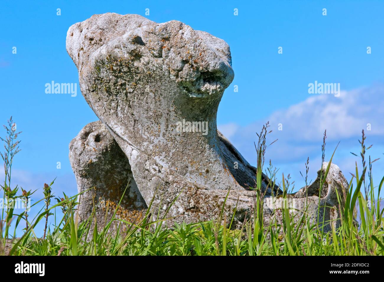 L'os de la mâchoire de baleine, l'Île Yttygran, Mer de Béring, Extrême-Orient russe Banque D'Images