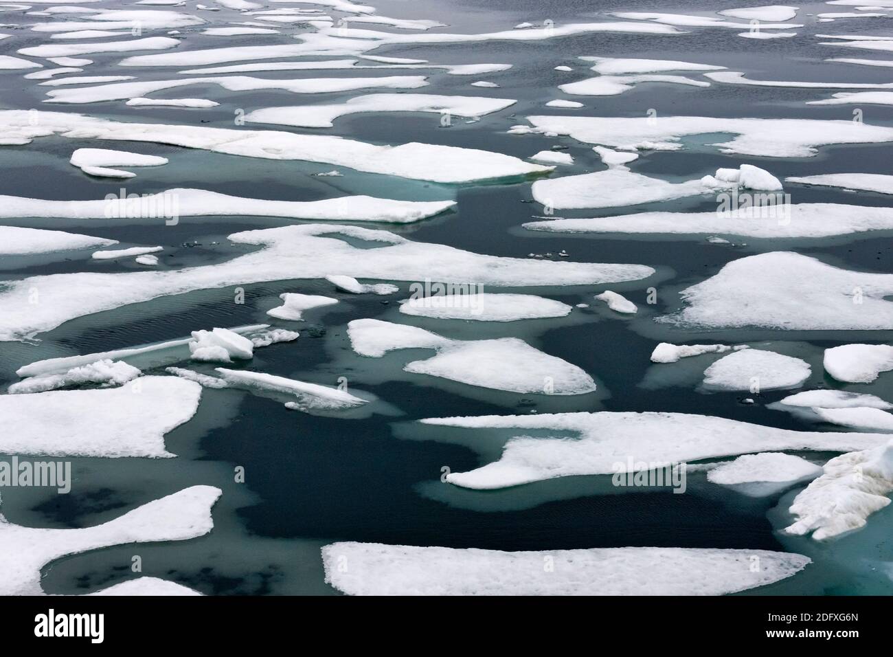 La glace flottante dans la mer de Chukchi, Extrême-Orient russe Banque D'Images