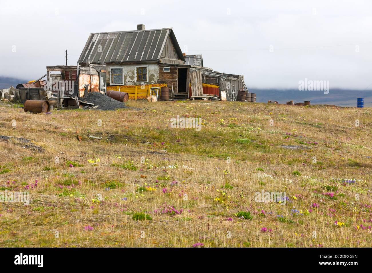 Station forestière sur l'île Wrangel en mer de Tchoukotka, Extrême-Orient russe Banque D'Images