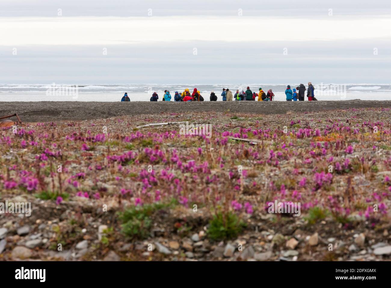 Touristes sur la plage de la mer de Chukchi sur l'île de Wrangel, Russie extrême-Orient Banque D'Images