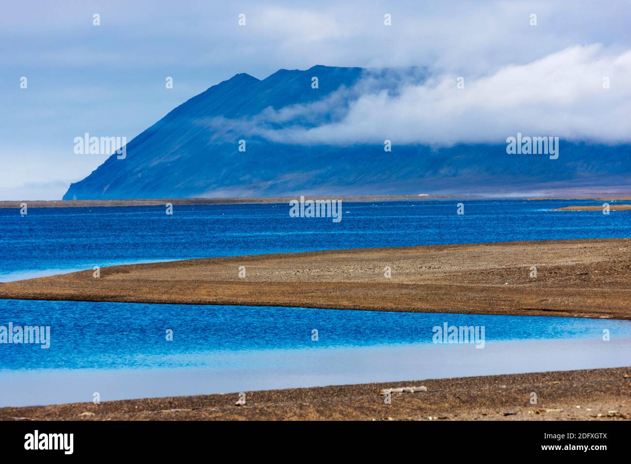 Plage de l'île, le Cap Vankarem, l'île Wrangel, mer de Tchoukotka, en Russie extrême-orient Banque D'Images