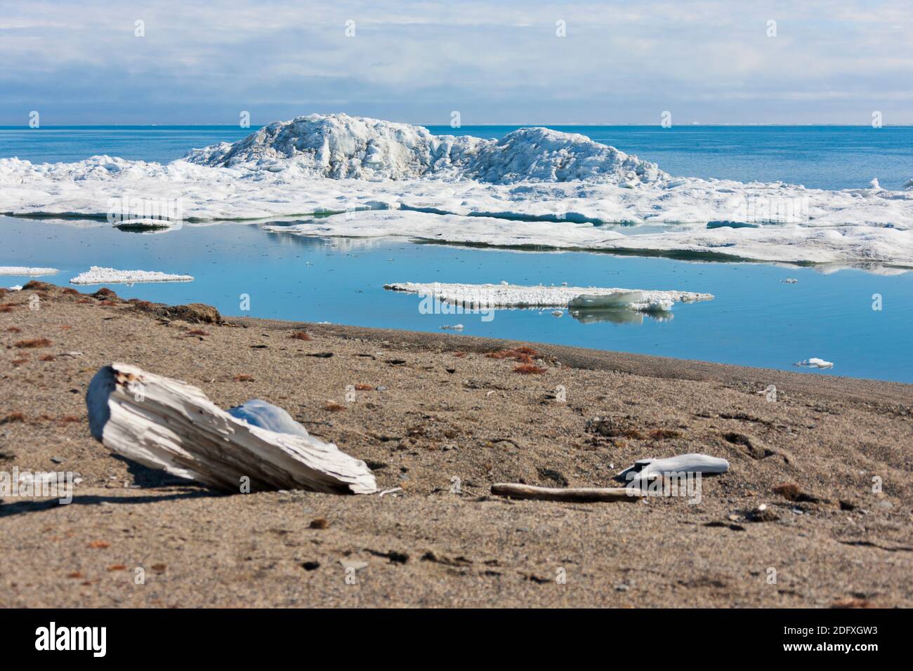 Plage, Cap Vankarem, l'île Wrangel, mer de Tchoukotka, en Russie extrême-orient Banque D'Images