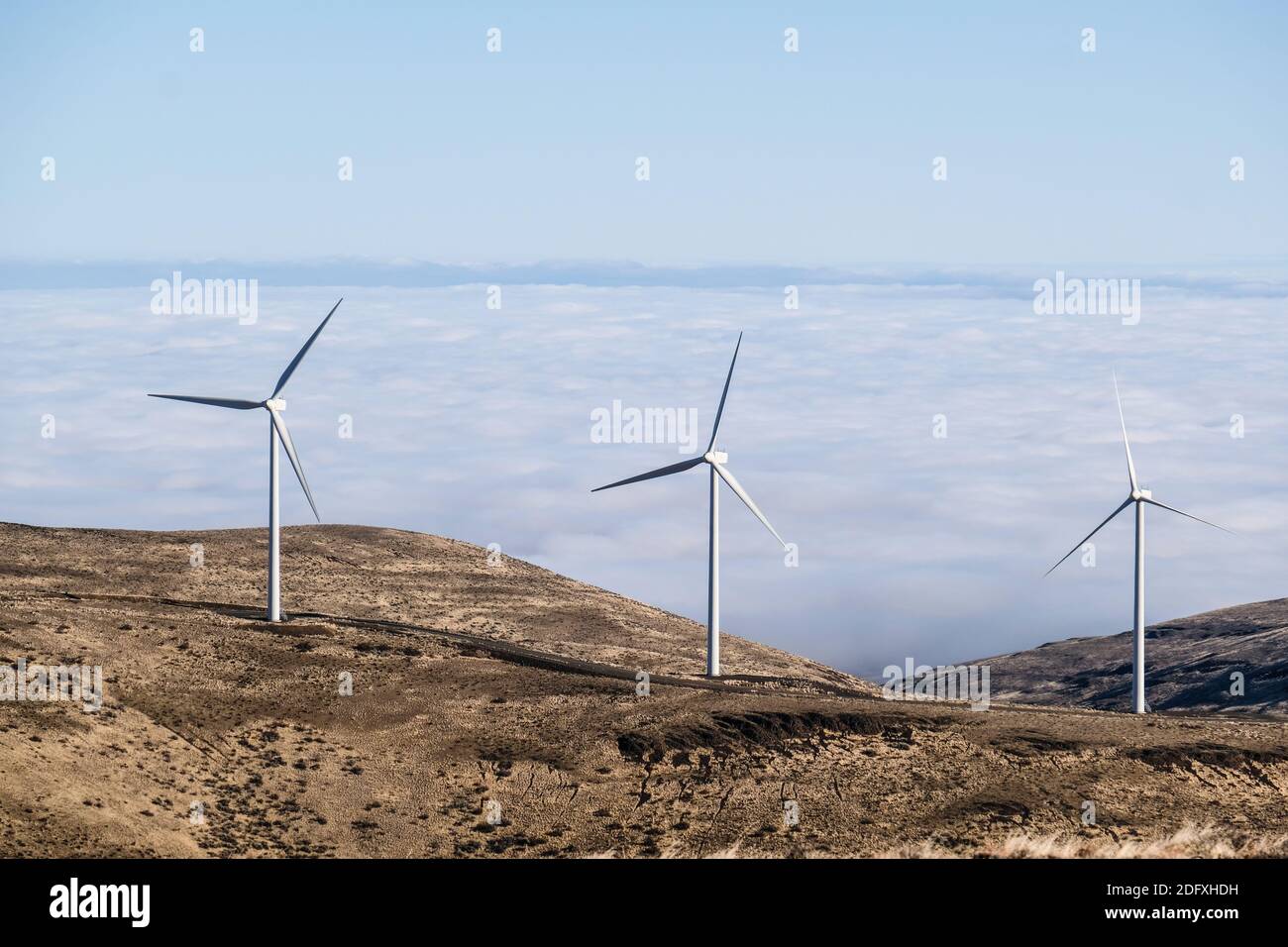 Éoliennes géantes au bassin du fleuve Columbia, dans l'est de l'État de Washington Banque D'Images