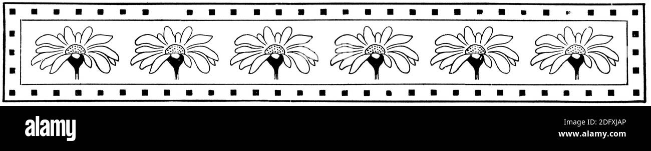 Décoration abstraite, séparateur de chapitre dans un livre. Illustration du XIXe siècle. Fond blanc. Banque D'Images