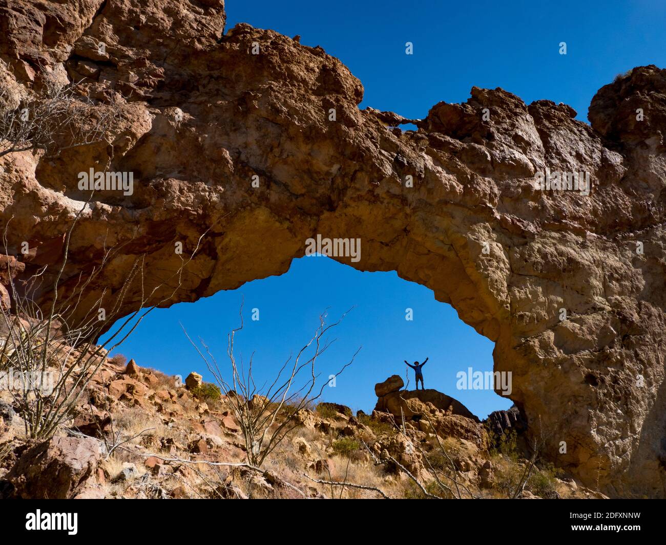 Un randonneur apprécie l'arche naturelle d'Arch Canyon, Organ Pipe Cactus National Monument, Arizona, Etats-Unis Banque D'Images