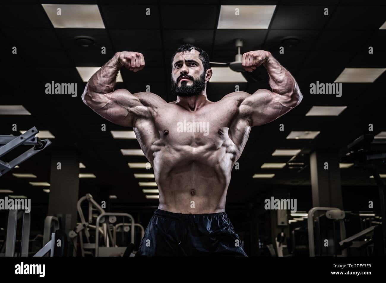 jeune homme caucasien fort avec une barbe montrant des bras biceps puissants muscle posé dans la salle de fitness sombre Banque D'Images