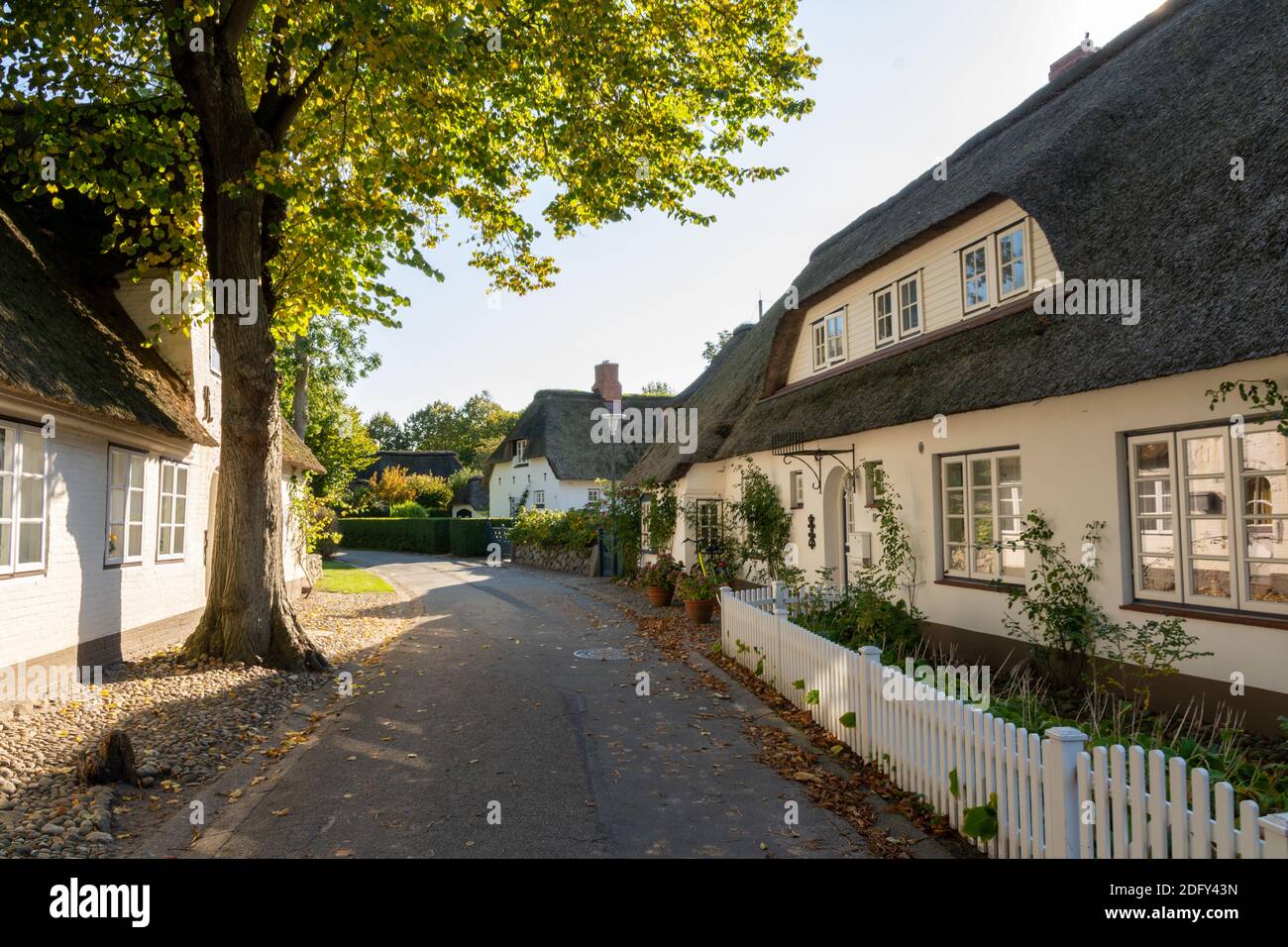 Nieblum, Allemagne - 16 octobre 2020 : maisons blanches en chaume avec clôtures blanches dans une rue de Föhr Banque D'Images