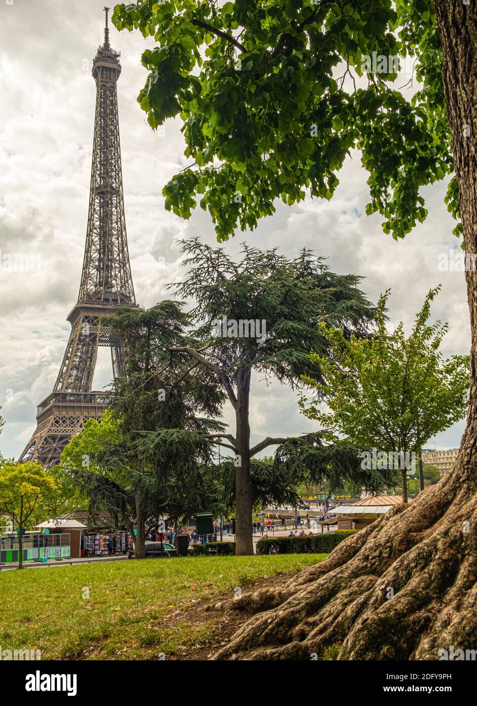 La tour de l'Eiifel a vu à travers des arbres en pleine floraison dans le parc du Trocadéro, à Paris. Pris un jour lumineux mais couvert Banque D'Images