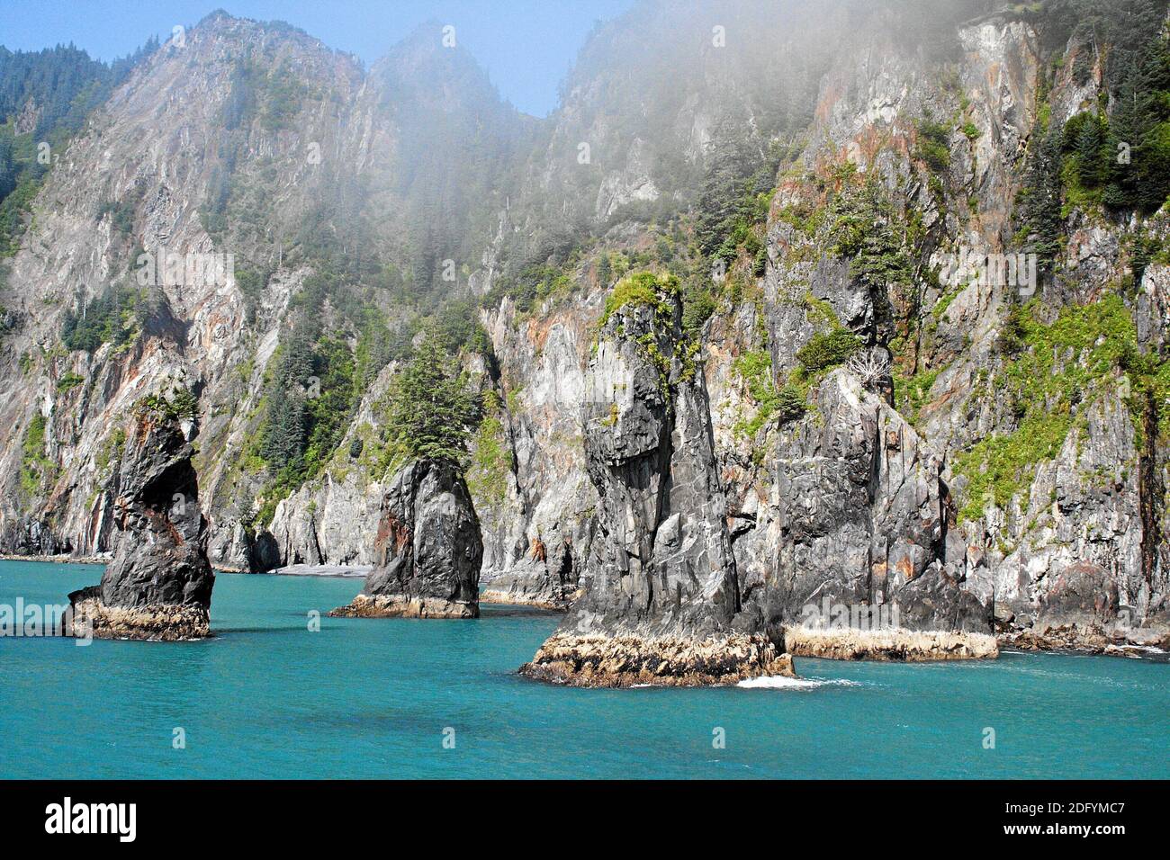 Aialik Bay, Parc national Kenai Fjords, Alaska, États-Unis Banque D'Images