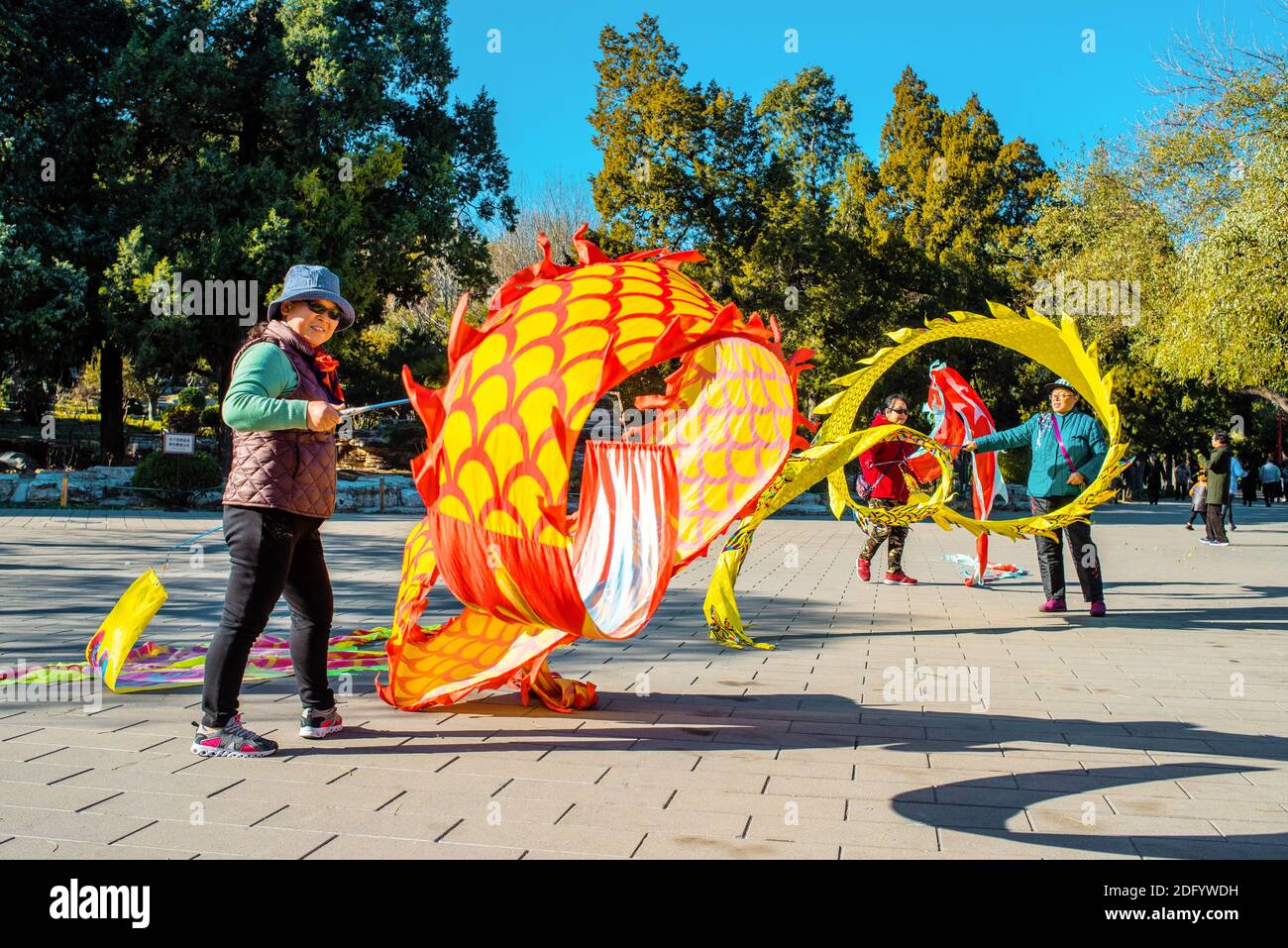 Chine, Beijing, parc Jingshan.Les femmes asiatiques apprécient les activités de plein air.Concept de mode de vie sain et de sports de plein air.Vieillesse active.Déplacement lent. Banque D'Images