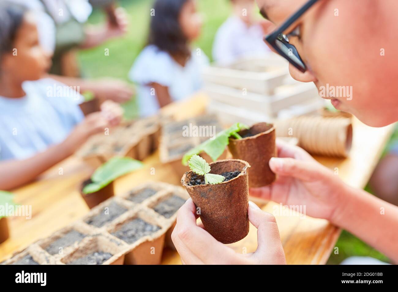 Garçon avec des semis dans le camp de vacances écologique apprend environ biologie et protection de l'environnement Banque D'Images