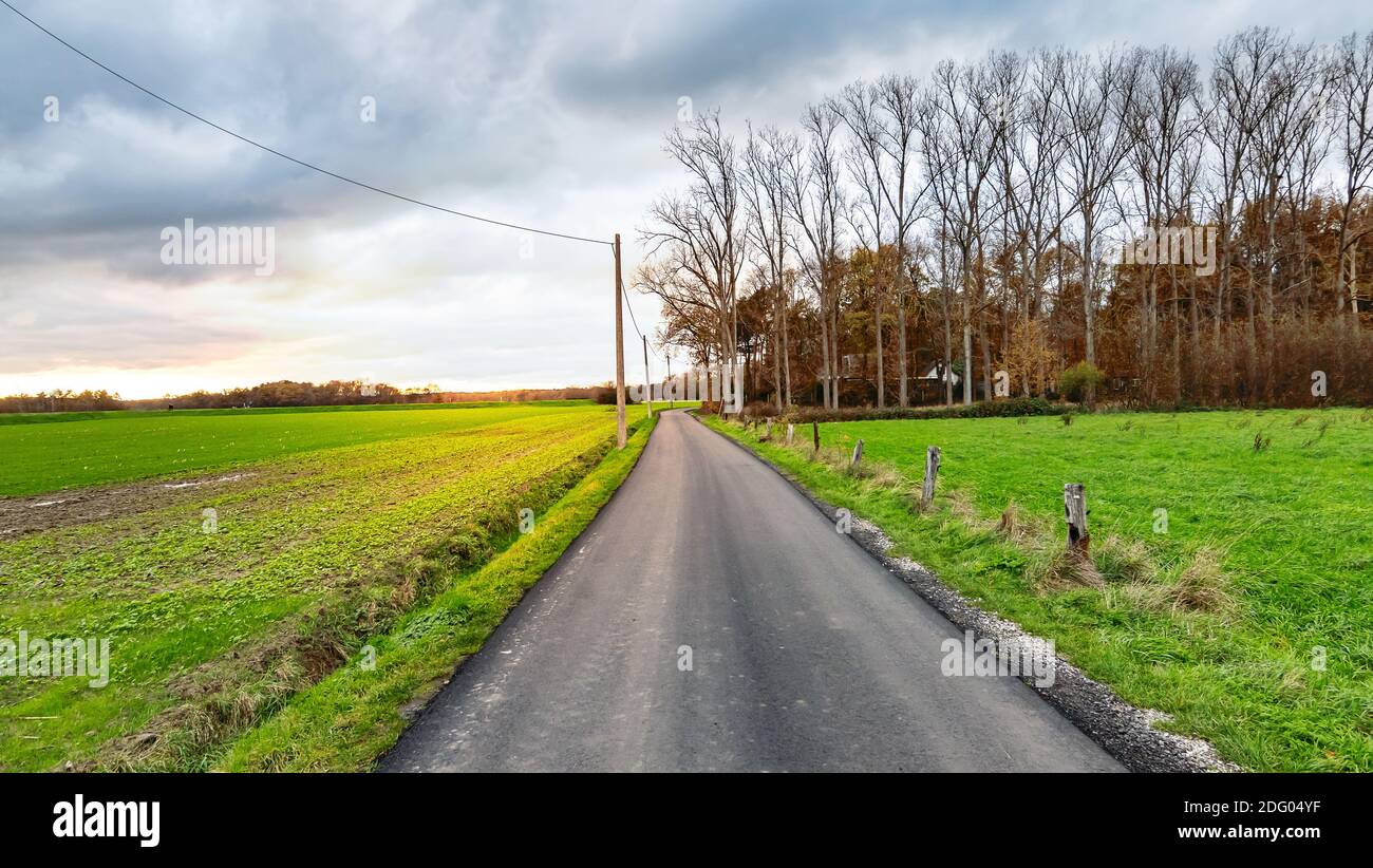 Route asphaltée vide dans la campagne de Belgique. Banque D'Images