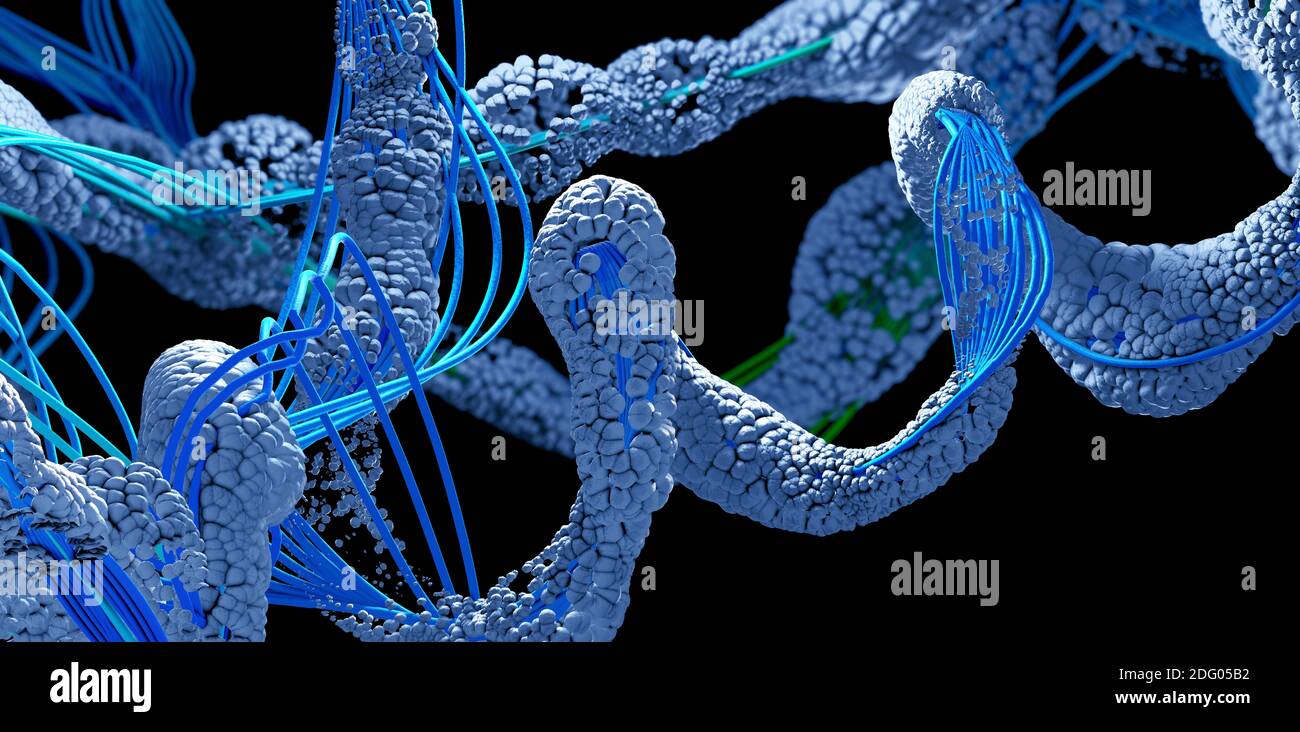 Chaîne d'acides aminés ou de molécules bio appelées protéines - illustration 3d Banque D'Images