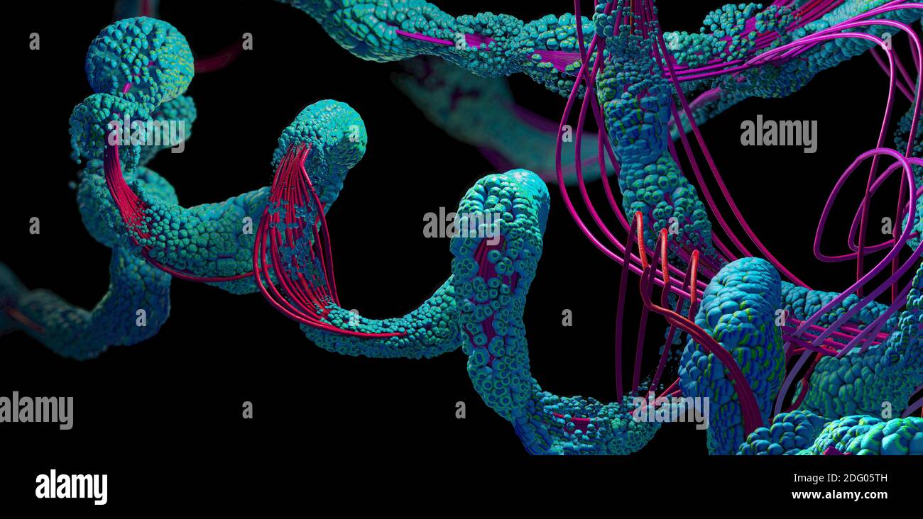 Chaîne d'acides aminés ou de molécules bio appelées protéines - illustration 3d Banque D'Images