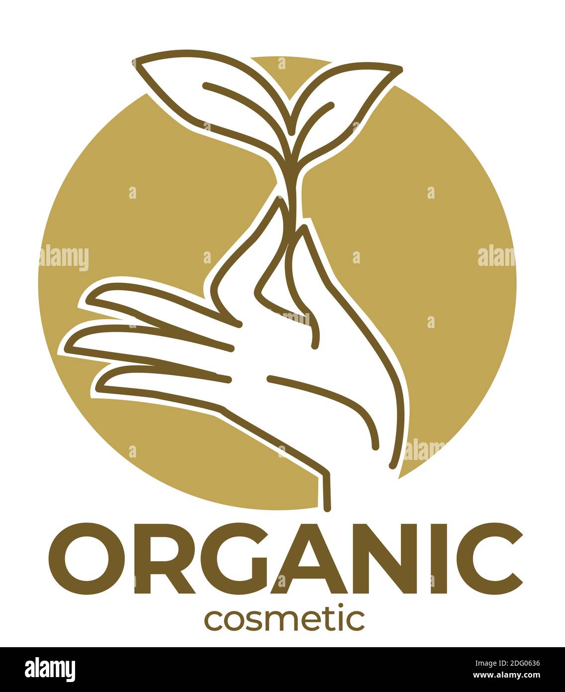 Produits cosmétiques biologiques, maquillage et cosmétologie Illustration de Vecteur