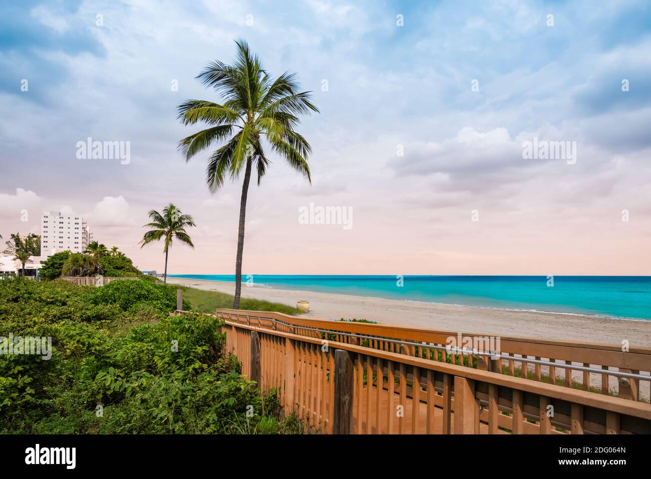 Plage avec palmiers en Floride, États-Unis. Banque D'Images