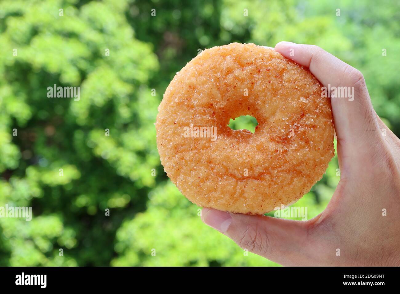 Gros plan main de l'homme tenant un donut de cannelle de sucre avec flou Feuillage vert en toile de fond Banque D'Images