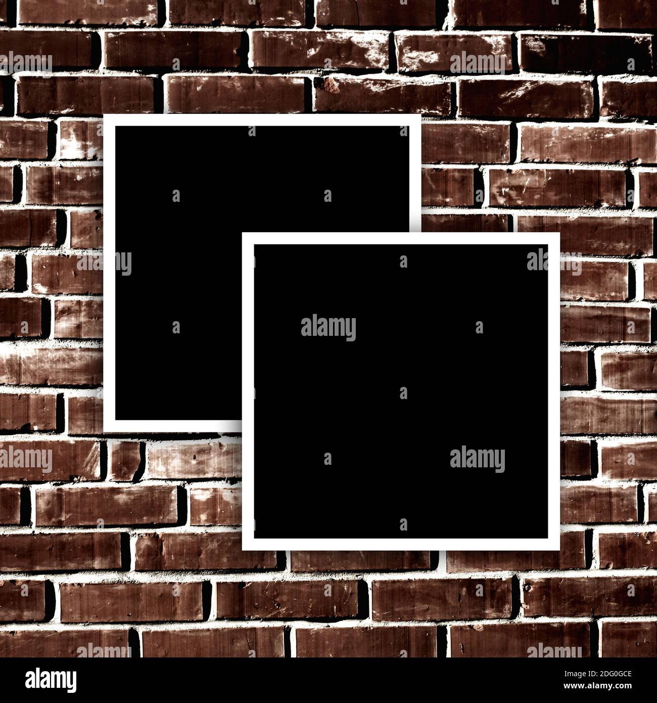 Instant photos vide sur grunge mur backgrou Banque D'Images