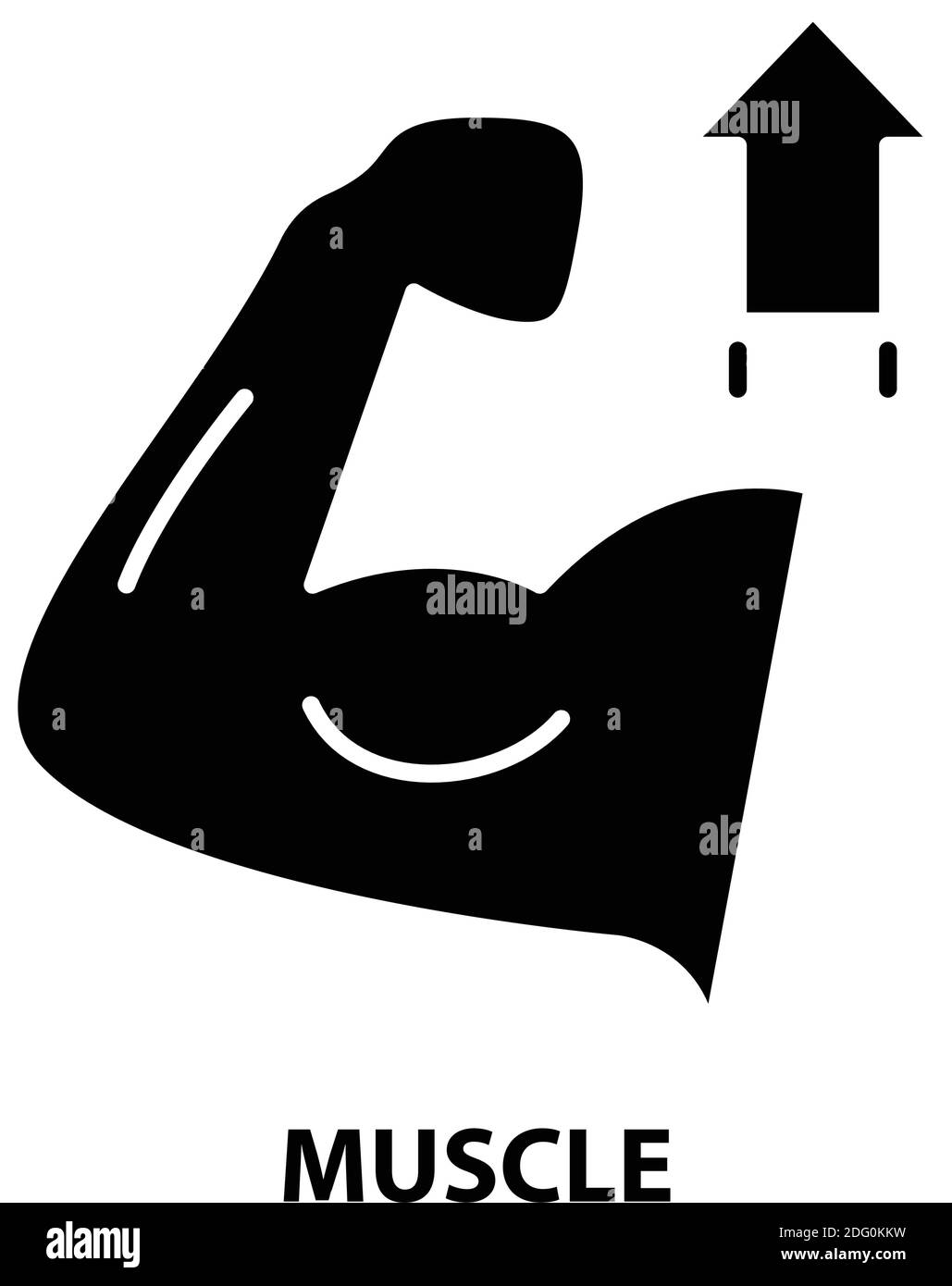 icône de muscle, signe vectoriel noir avec traits modifiables, illustration de concept Illustration de Vecteur