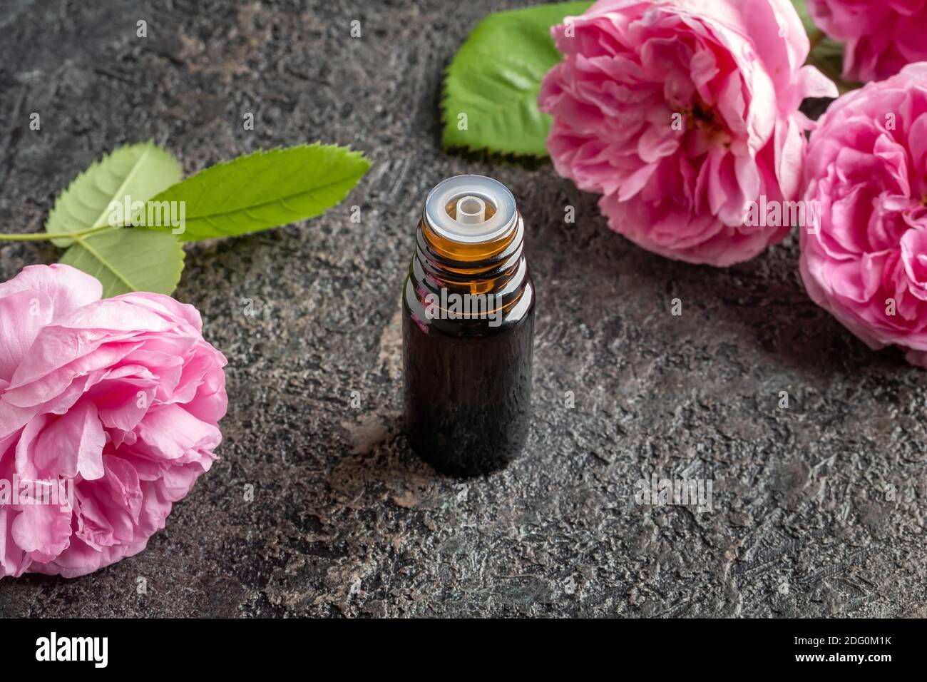 Bouteille d'huile essentielle avec fleurs de Rose de mai Banque D'Images